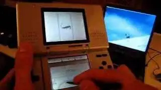 Visuals with the Nintendo DS