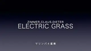 Electric Grass / Zimmer , Claus Dieter