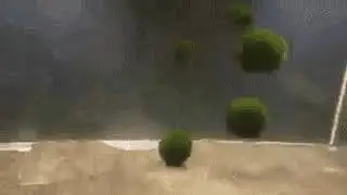 miss marimo tornado