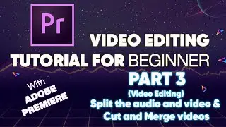 Split Audio & Video (Video Editing Tutorial For Beginner With Adobe Premiere Part 3)