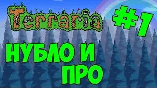 LP: Terraria #1 