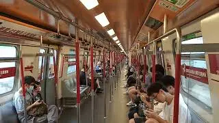 (4900th video!) Retro liveried M-Train walkthrough