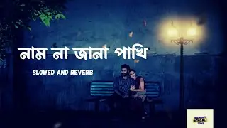 Nam na jana kono pakhi | Bengali lofi song | Arijit Singh | Shreya Ghoshal | Bangla Song