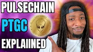 PulseChain: pTGC and It's Ecosystem Explained!