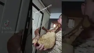 #кыргызстан