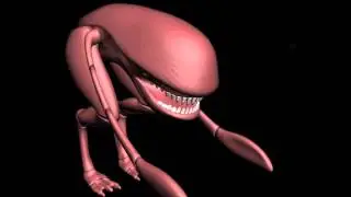 wanamingo test