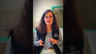 Lachancea Thermotolerans : les facteurs clés pour une acidification maîtrisée
