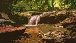 Escape to Nature's Oasis A Relaxing Spring Serenade