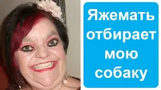 Яжемать отбирает мою собаку. Яжемать истории