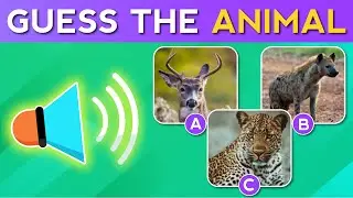 Can You Guess The Animal By Sound?