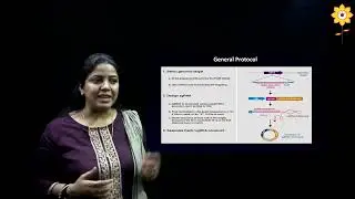 Gene Editing Using Crispr Cas System | L5 | Prof. Suparna Deepak | PCACS
