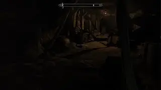 Skyrim P55 Mod Showcase