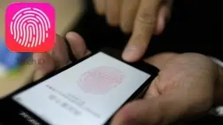 How to Add On Screen Fingerprint Scanner