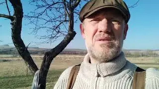 Утро в деревне.
