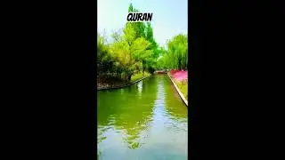 beautiful voice emotional Heart  touching Beautiful voice Quran Recit | Reciting Qari Sura tul Fajr