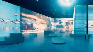 Illuminarium Atlanta by Electrosonic