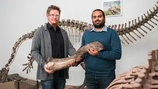Can dinosaur blood cells survive? More Golden Crocoduck nominees.