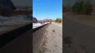 Встреча с собакой-убийцей