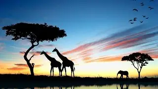 Amazing Grace - African singers - the best version