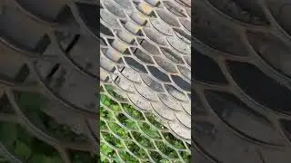 Snippet