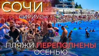 SOCHI PRICES: We've never seen such crowds in the fall! Have prices dropped?