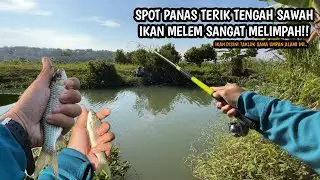 BARU SEMENIT LANGSUNG STRIKE IKAN MELEM!! Mancing wader dan melem pakai teknik kumbul umpan lumut