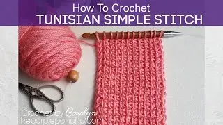 How To Crochet Tunisian Simple Stitch