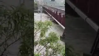 Dangerously Overflowing River😱😳😱#shorts#shortsvideo#flood#viral