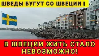 ВО ЧТО ПРЕВРАТИЛАСЬ  ШВЕЦИЯ ❗