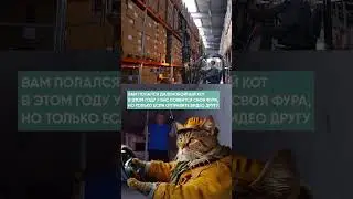Ты знаешь, кому это отправить👌 #monopolyonline #дальнобой