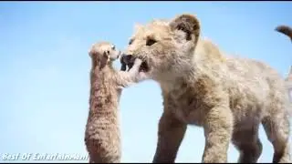 Timon And Pumba Best Funny Clips in Hindi   Hollywood Hindi Dubbed Funny Clips   YouTube