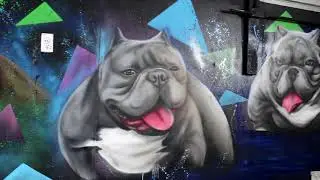 A custom mural painted in Houston, Texas