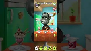 tom cat eating foods