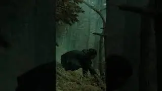 Слушайте трек «Хвоя» на всех музыкальных площадках!