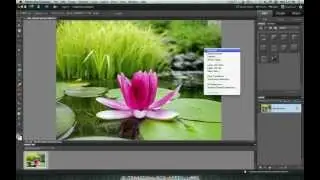 How to Create a Vignette in Photoshop Elements (Easy!)