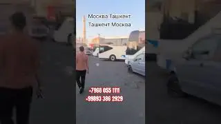 Москва Ташкент Узбекистан автобус #tayna #эдвардбил #albaniansong #дуров #lyricvideo #сияй