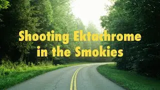 Shooting Ektachrome in Great Smoky Mountains National Park