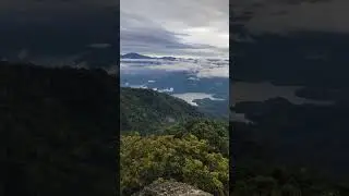 puncak bukit kutu