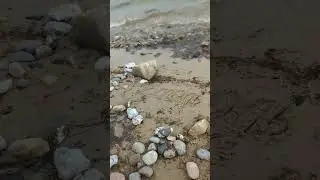 Псалом 22 Господь - Пастырь мой.