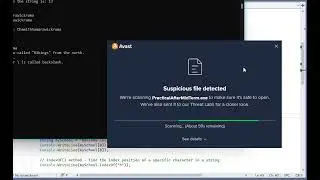 16  Strings in C# - Part 2