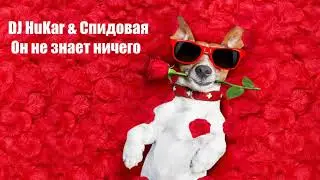 DJ HuKar & Спидовая - Он не знает ничего (2020)