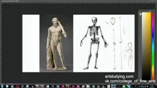 Anatomy and Drawing. Proportions
