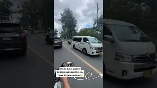 29 ноября 2023 г.