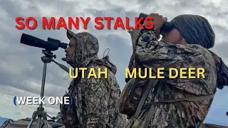 (WE FAIL SO MANY TIMES)How Many Stalks Can We Go On In 1 Week?