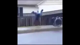 Stephen Hawking in JACKASS