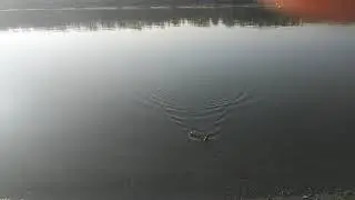 05. 1 сентября, улов))