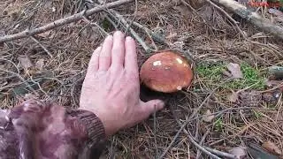 Волга - Нёмда. Путешествие с рыбалкой. Часть третья.