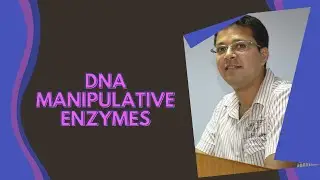 DNA Manipulative Enzymes-Enzymes used in Recombinant DNA Technology