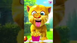 talking ginger funny videos | 🙀🐈😻😹