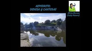 Dehesa de Alpedrete